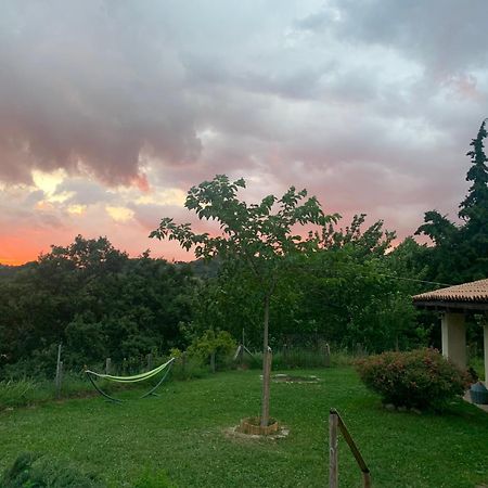 Agriturismo Il Covo Del Solengo Valtopina エクステリア 写真