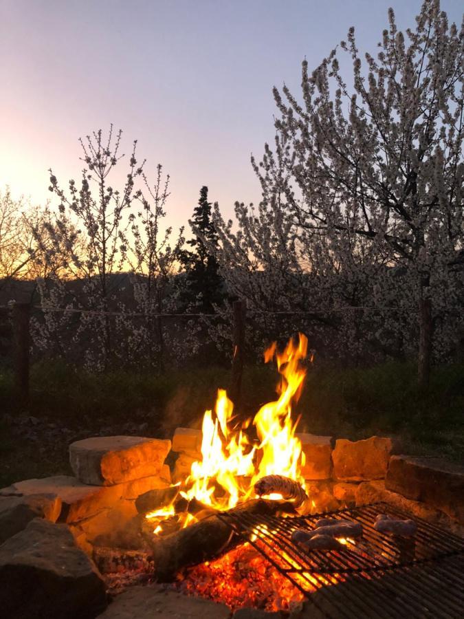 Agriturismo Il Covo Del Solengo Valtopina エクステリア 写真