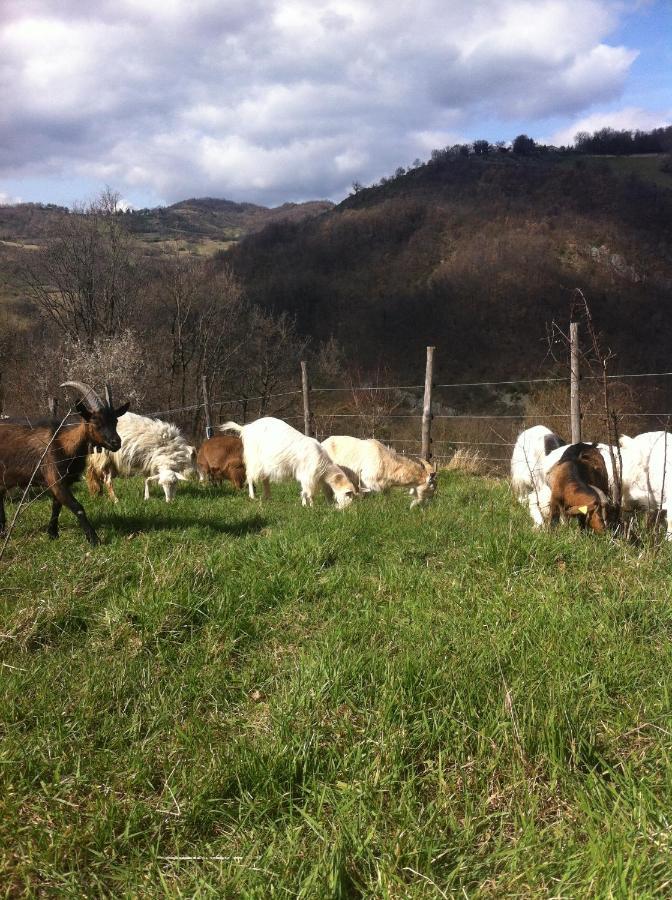 Agriturismo Il Covo Del Solengo Valtopina エクステリア 写真