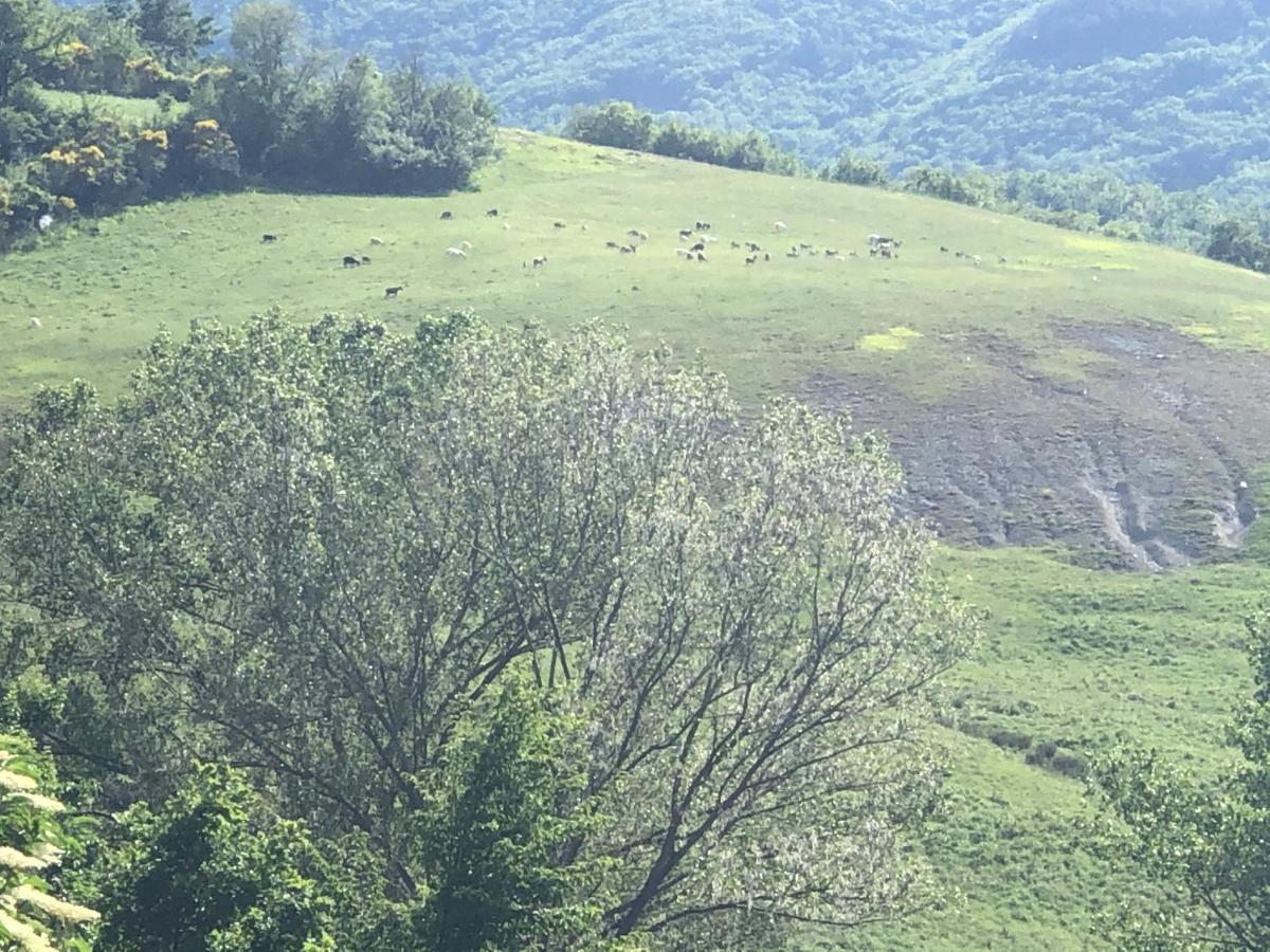 Agriturismo Il Covo Del Solengo Valtopina エクステリア 写真
