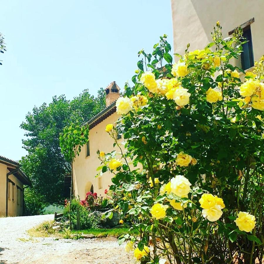 Agriturismo Il Covo Del Solengo Valtopina エクステリア 写真