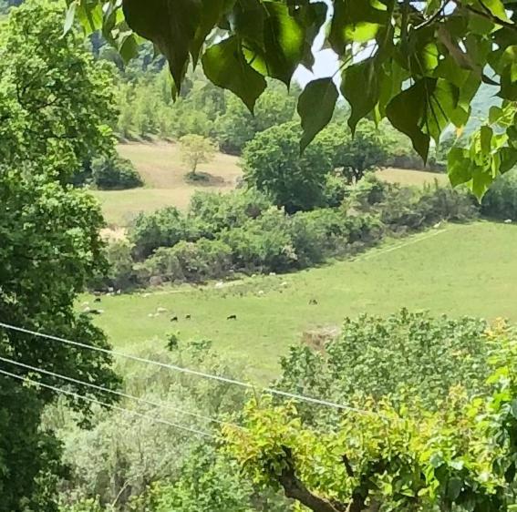 Agriturismo Il Covo Del Solengo Valtopina エクステリア 写真