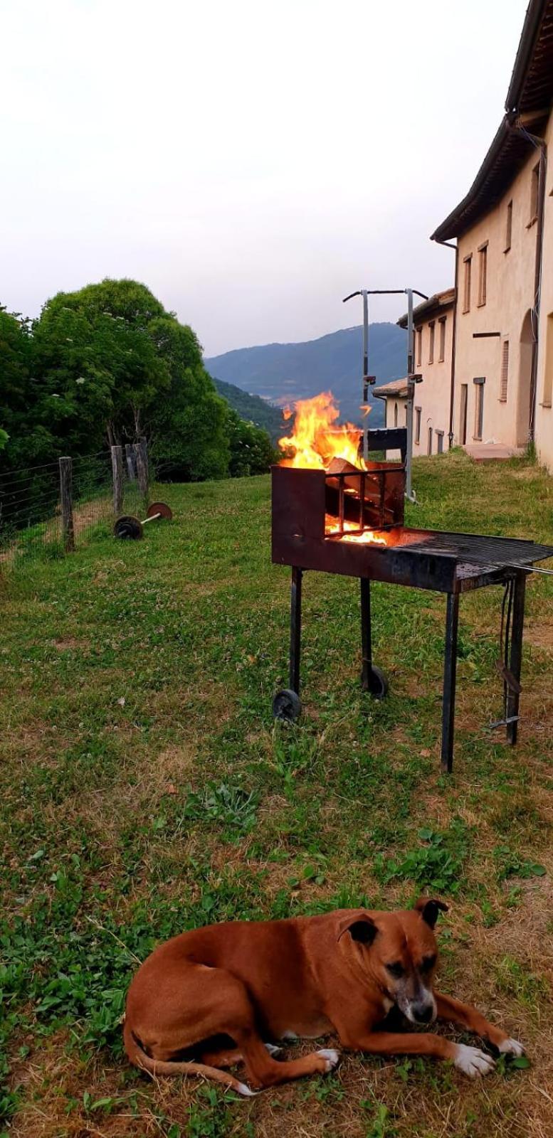 Agriturismo Il Covo Del Solengo Valtopina エクステリア 写真