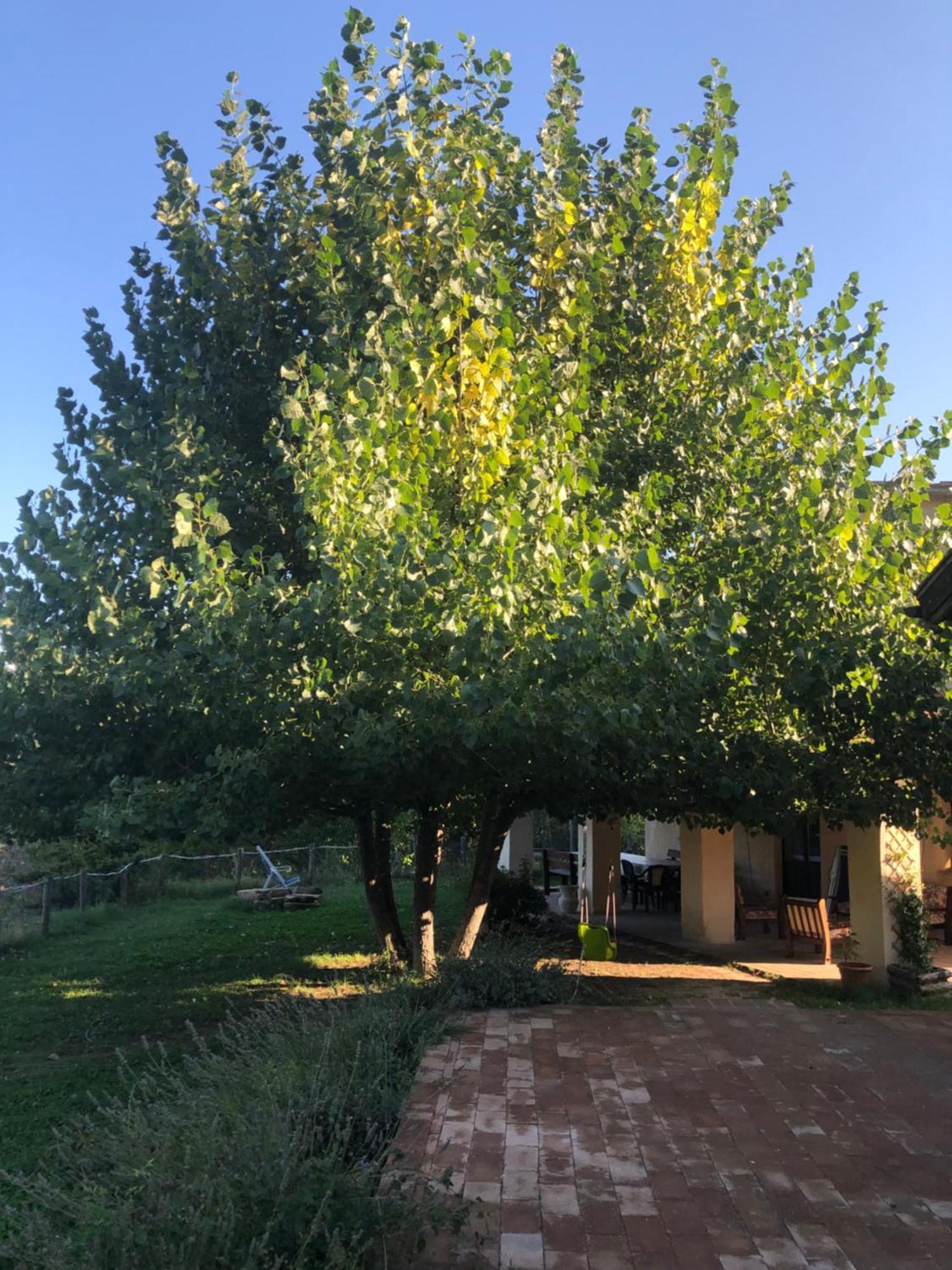 Agriturismo Il Covo Del Solengo Valtopina エクステリア 写真